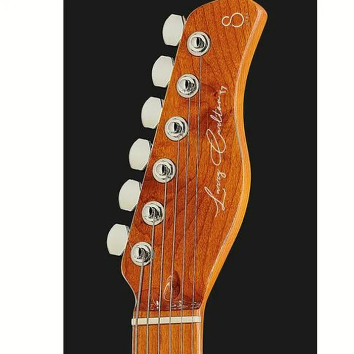 Larry Carlton T7 FM TBK – photo 8