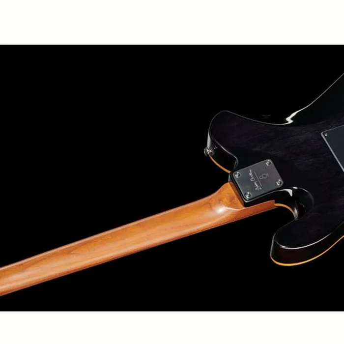 Larry Carlton T7 FM TBK – photo 10