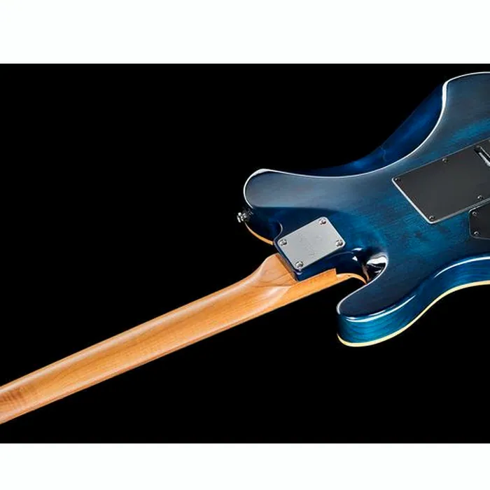 Larry Carlton T7 FM TBL – photo 10