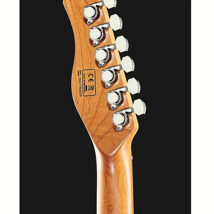Larry Carlton T7 FM TBL – photo 9