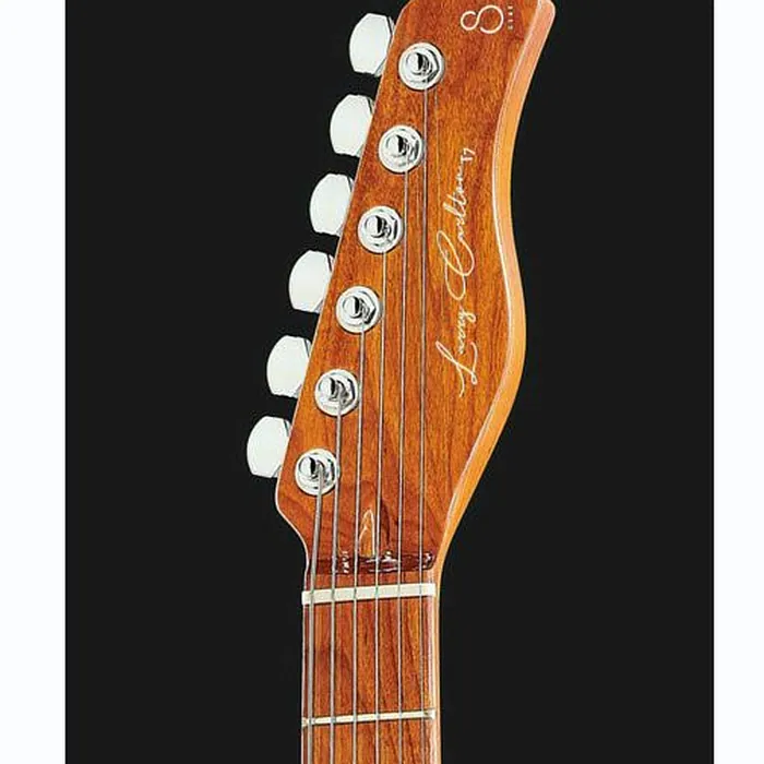 Larry Carlton T7 FR – photo 8