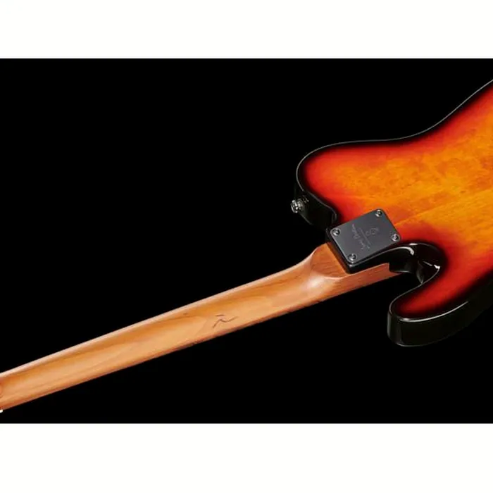 Larry Carlton T7 TS – photo 10