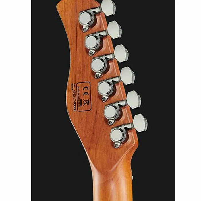 Larry Carlton T7 TS – photo 9