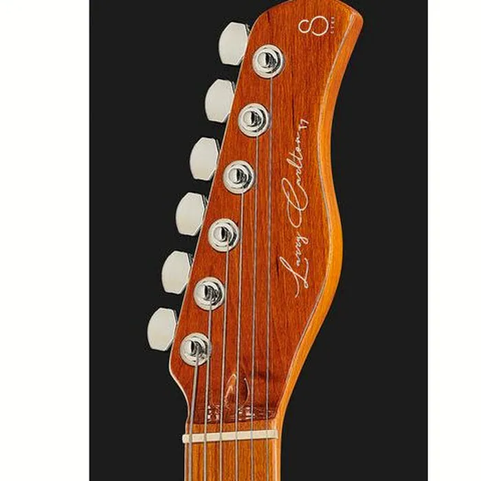 Larry Carlton T7 TS – photo 8