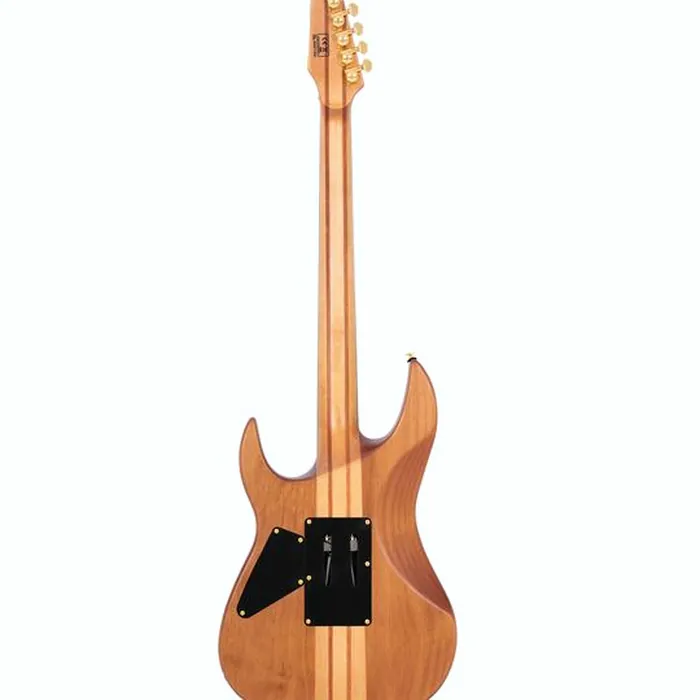 Larry Carlton X10 NTS – photo 4