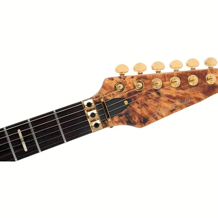 Larry Carlton X10 NTS – photo 7