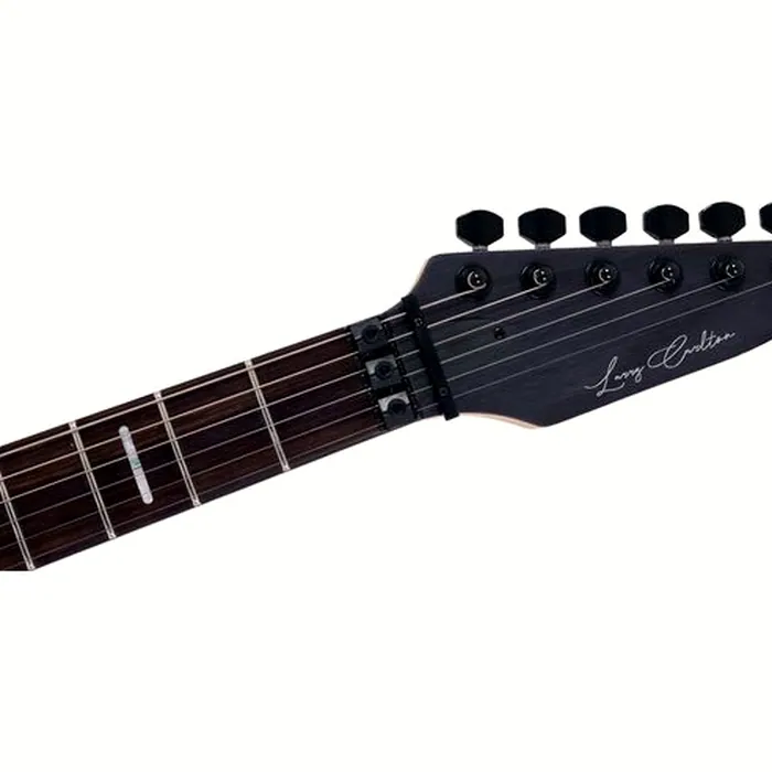 Larry Carlton X5 TBKS – photo 6