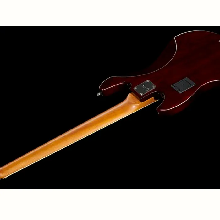 Marcus Miller V8-5 TS – photo 10