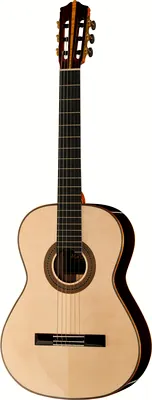 Martinez Munich Spruce Classic