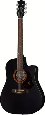 Maton SRS70C BK w/ Case
