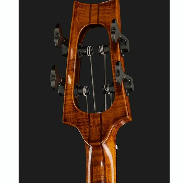 Maybach DaVinci Bass Antique Violin – photo 9