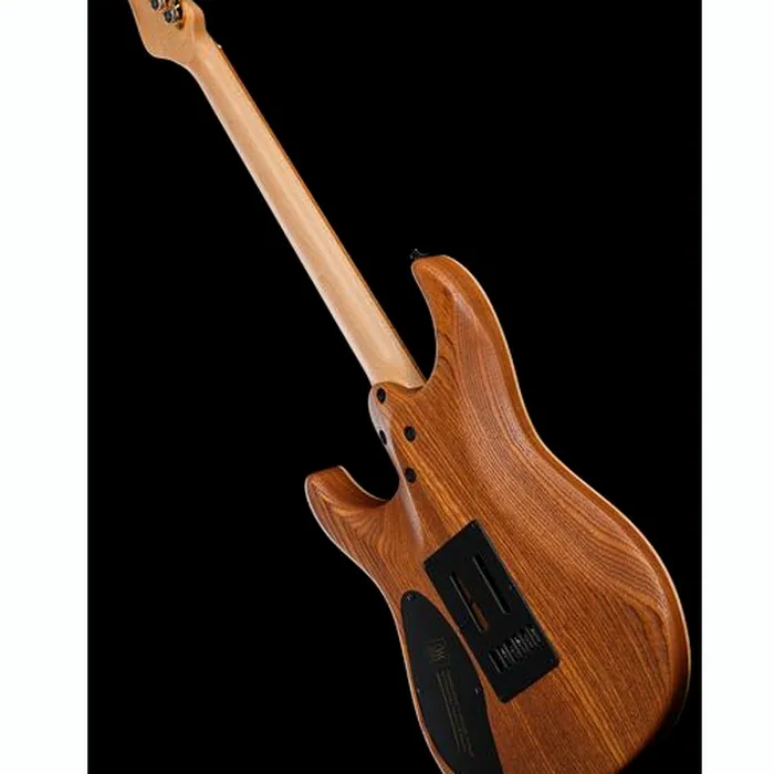 Mayones Guitars Aquila Elite S 6 Poplar LB – photo 11