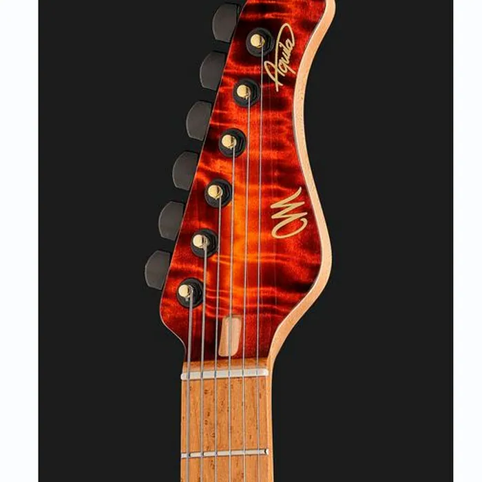 Mayones Guitars Aquila Elite S 6 Poplar LB – photo 8