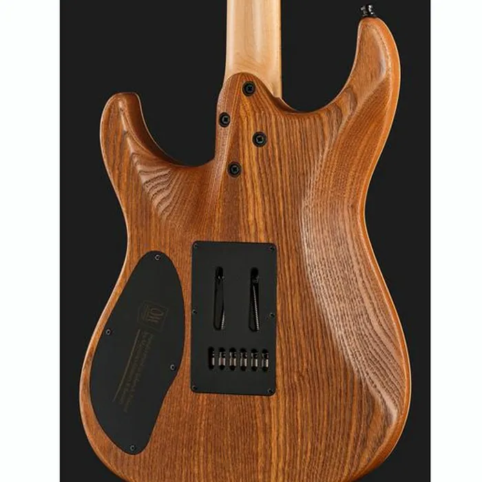 Mayones Guitars Aquila Elite S 6 Poplar LB – photo 7