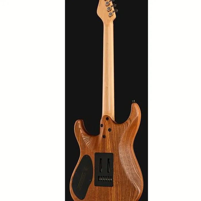 Mayones Guitars Aquila Elite S 6 Poplar LB – photo 5