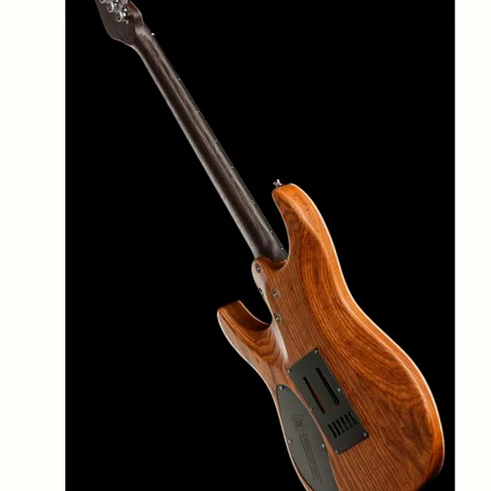 Mayones Guitars Aquila Elite V24 S 6 BB – photo 11
