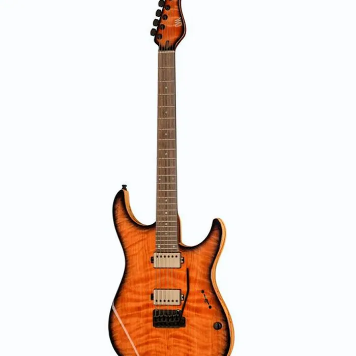 Mayones Guitars Aquila Elite V24 S6 Redwood BB – photo 2