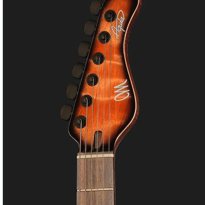 Mayones Guitars Aquila Elite V24 S6 Redwood BB – photo 8