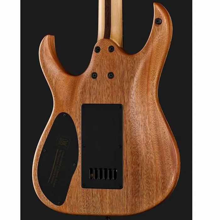 Mayones Guitars Duvell Elite 4Ever 6 PB – photo 7
