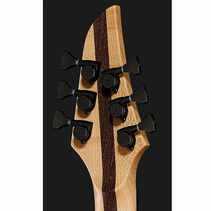 Mayones Guitars Duvell Elite 4Ever 6 PB – photo 9