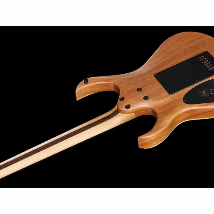 Mayones Guitars Duvell Elite 4Ever 6 PB – photo 10