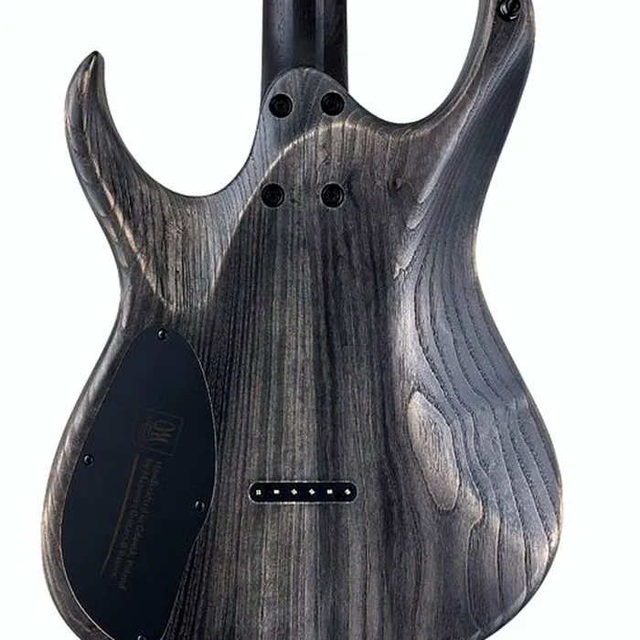 Mayones Guitars Duvell Elite 6 ABMF – photo 8