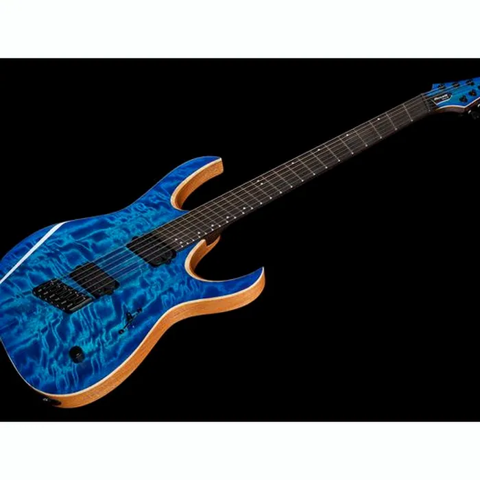 Mayones Guitars Duvell Elite VF 6 IBG – photo 11