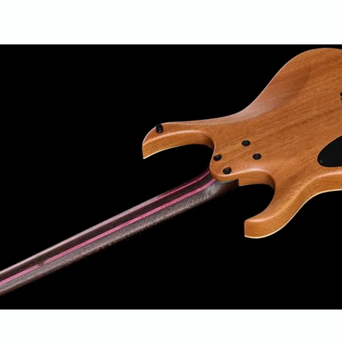 Mayones Guitars Duvell Elite VF 6 IBG – photo 10
