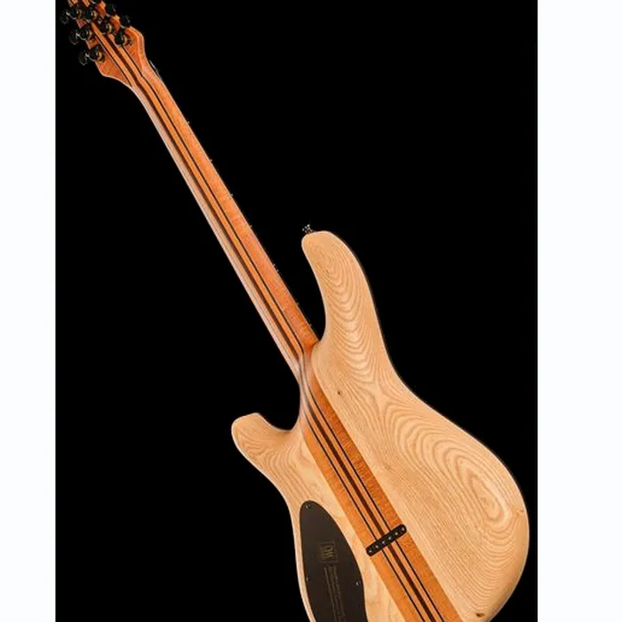 Mayones Guitars Regius 6 Curly Poplar TT – photo 12