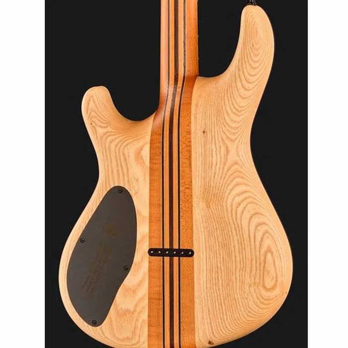 Mayones Guitars Regius 6 Curly Poplar TT – photo 7