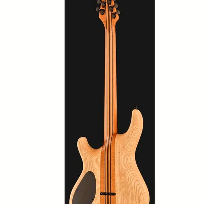 Mayones Guitars Regius 6 Curly Poplar TT – photo 5
