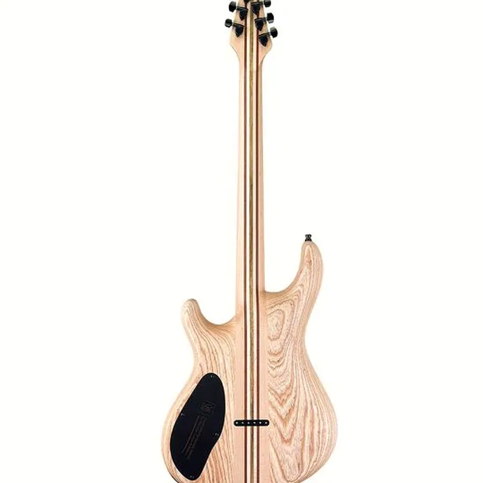 Mayones Guitars Regius 6 TPI – photo 4