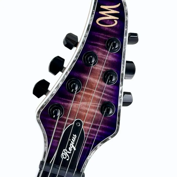 Mayones Guitars Regius 6 TPI – photo 7