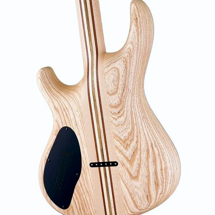 Mayones Guitars Regius 6 TPI – photo 6