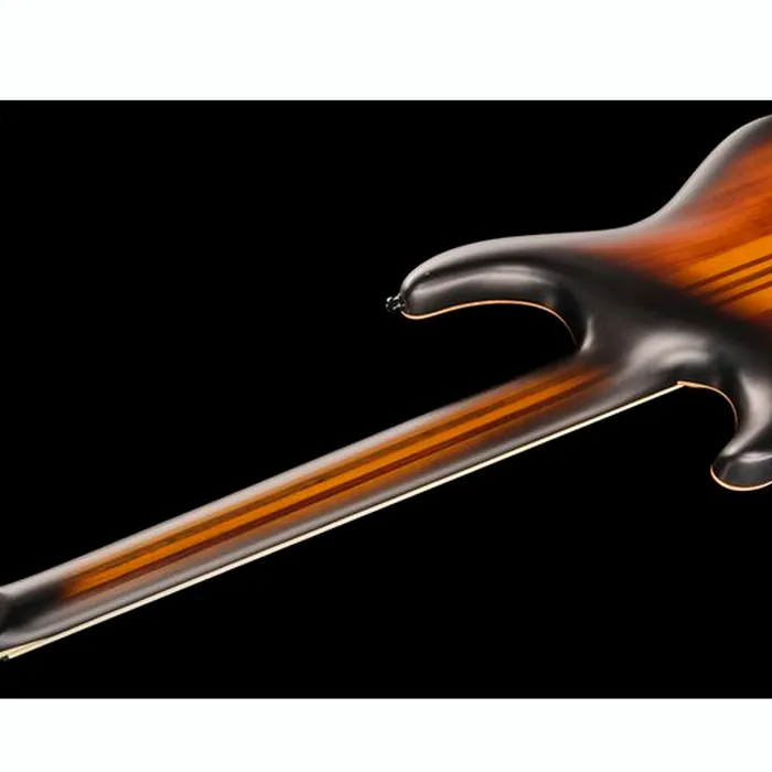 Mayones Guitars Regius Core 6 Aged Dirty SB – photo 10