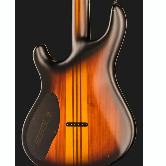 Mayones Guitars Regius Core 6 Aged Dirty SB – photo 7
