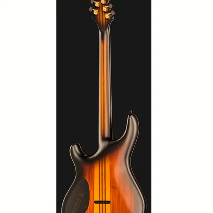 Mayones Guitars Regius Core 6 Aged Dirty SB – photo 5