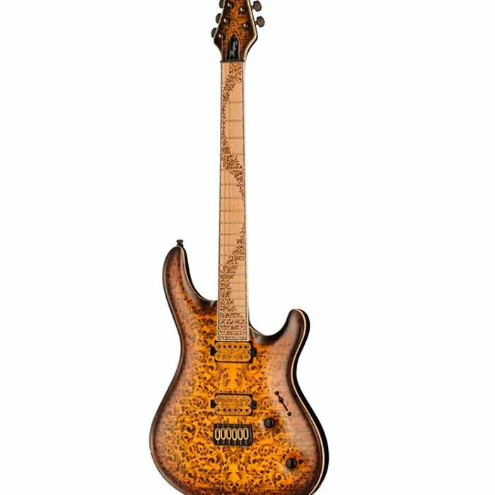Mayones Guitars Regius Core 6 Aged Dirty SB – photo 2