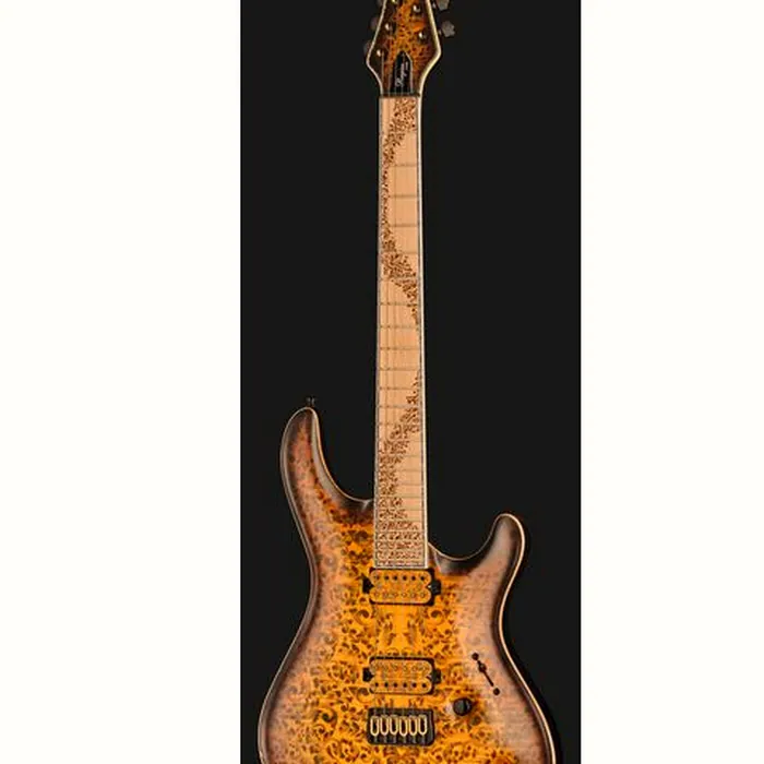 Mayones Guitars Regius Core 6 Aged Dirty SB – photo 4