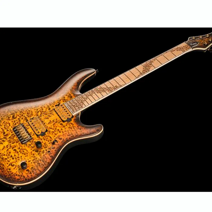 Mayones Guitars Regius Core 6 Aged Dirty SB – photo 11