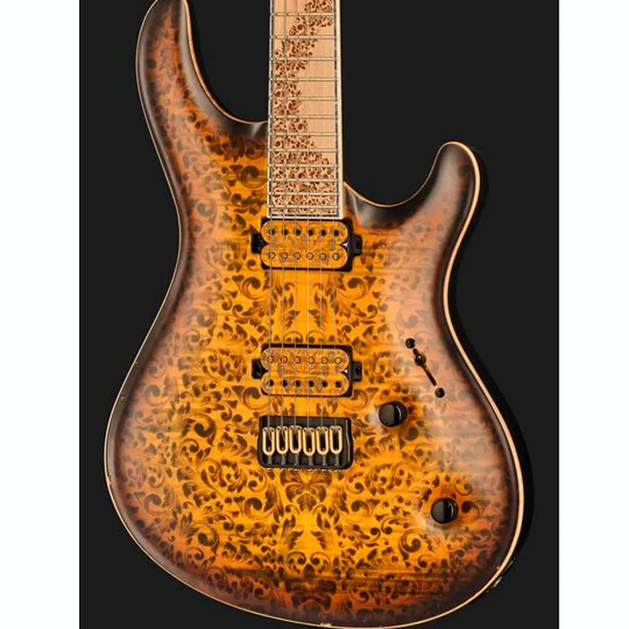 Mayones Guitars Regius Core 6 Aged Dirty SB – photo 6