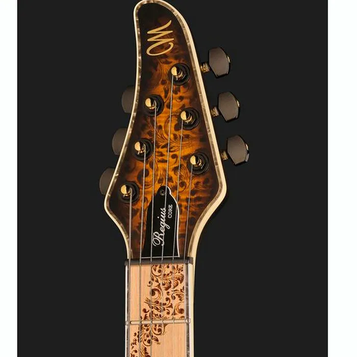 Mayones Guitars Regius Core 6 Aged Dirty SB – photo 8
