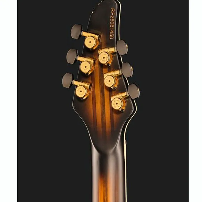 Mayones Guitars Regius Core 6 Aged Dirty SB – photo 9