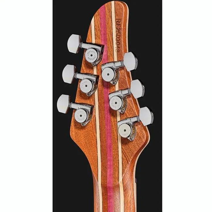 Mayones Guitars Regius Core 6 AMH – photo 9