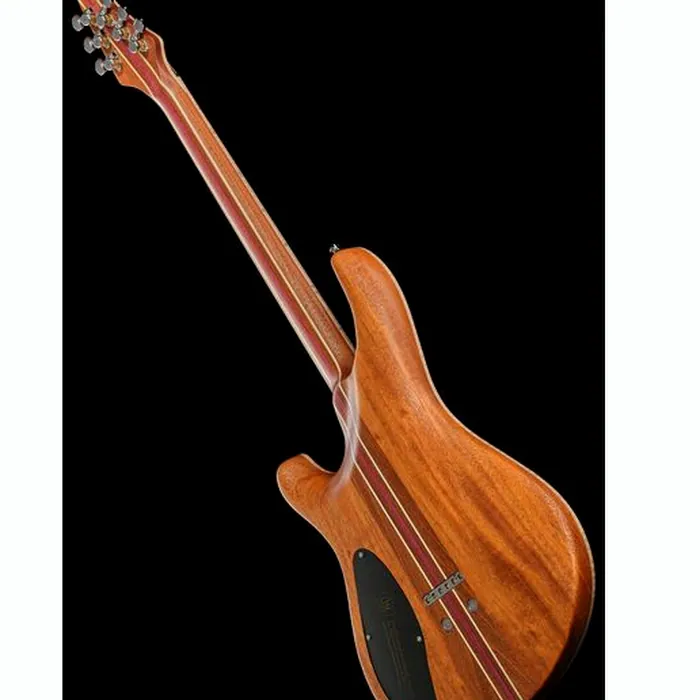 Mayones Guitars Regius Core 6 AMH – photo 11
