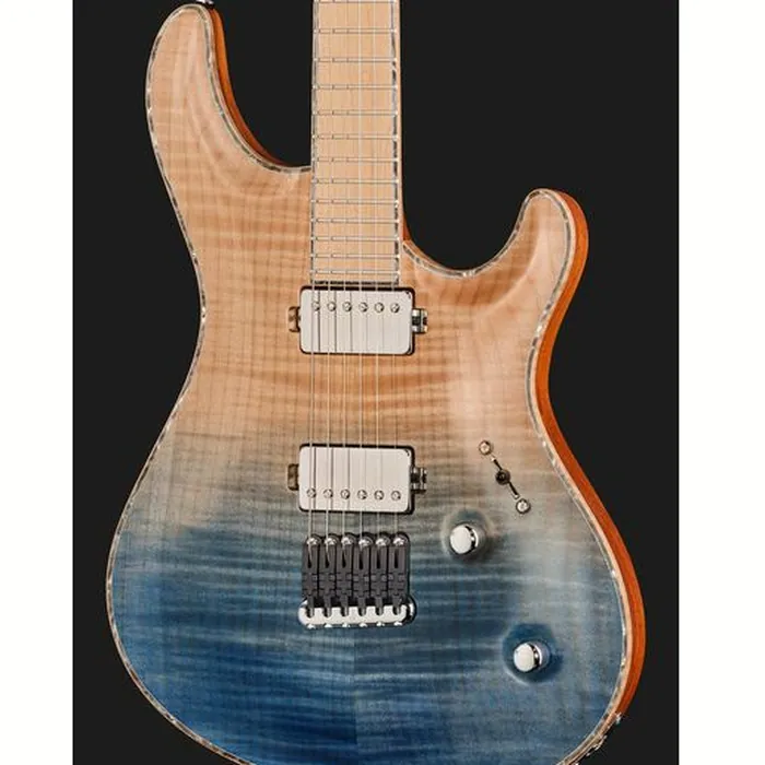 Mayones Guitars Regius Core 6 AMH – photo 6