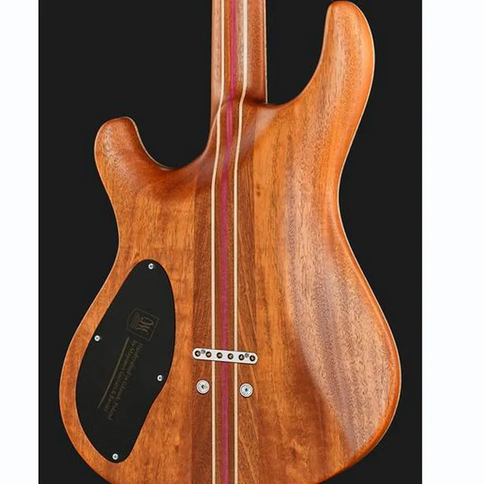 Mayones Guitars Regius Core 6 AMH – photo 7