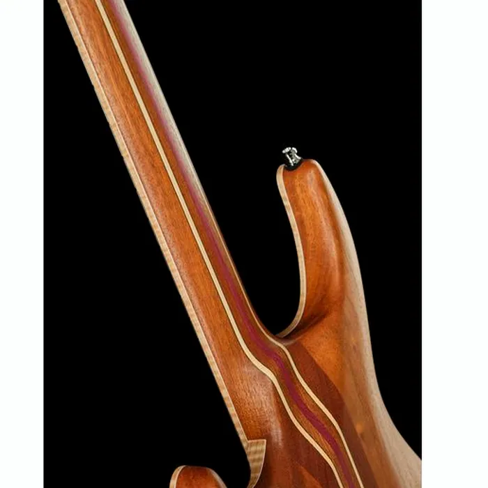 Mayones Guitars Regius Core 6 AMH – photo 12