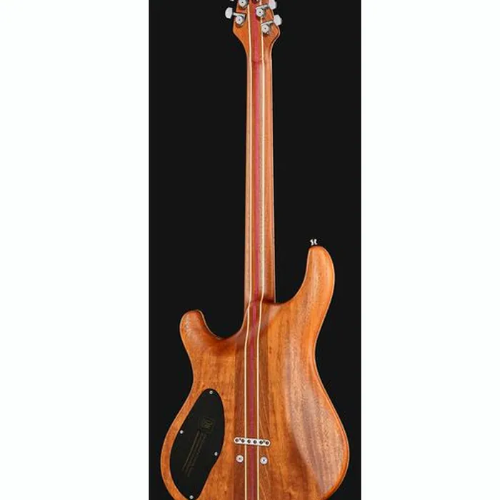 Mayones Guitars Regius Core 6 AMH – photo 5
