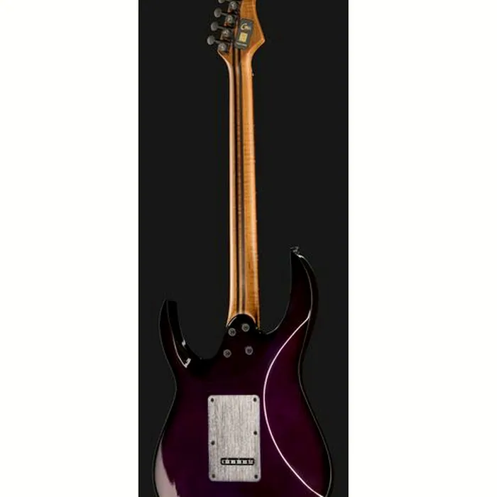 Mooer GTRS Guitars Modern 810 PB – photo 5